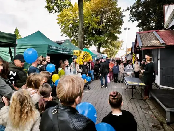 Braniewo: konkurs „Eko-Twórcy” rozstrzygnięty. Znamy nazwiska nagrodzonych